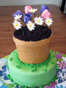 Flowerpot cake