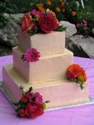 Pastel Orange wedding cake